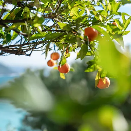 Vue Sur Aux Portes De Monaco Le Appartement *